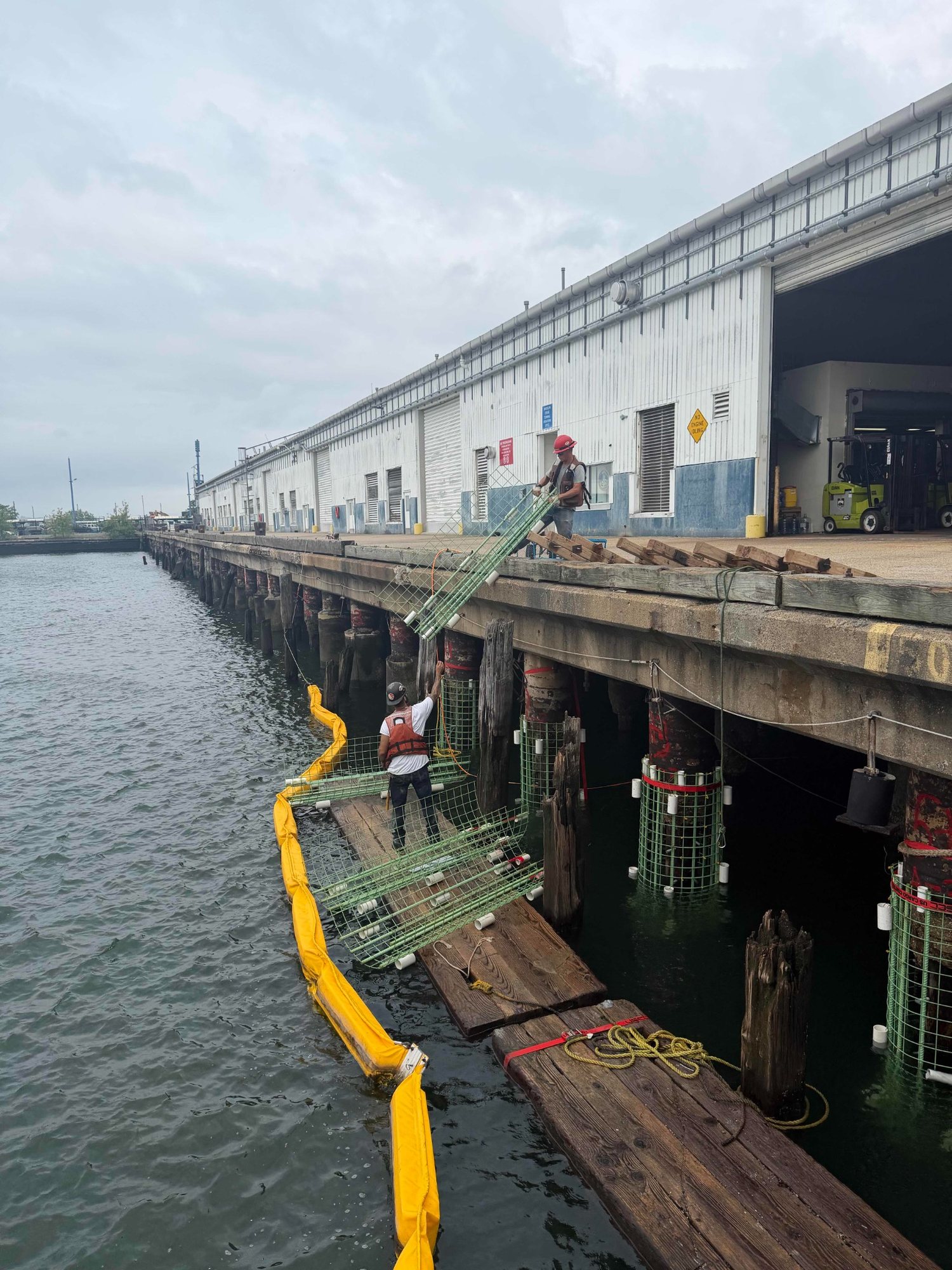 Reicon pile rehabilitation work at Brooklyn Cruise Terminal Pier 12