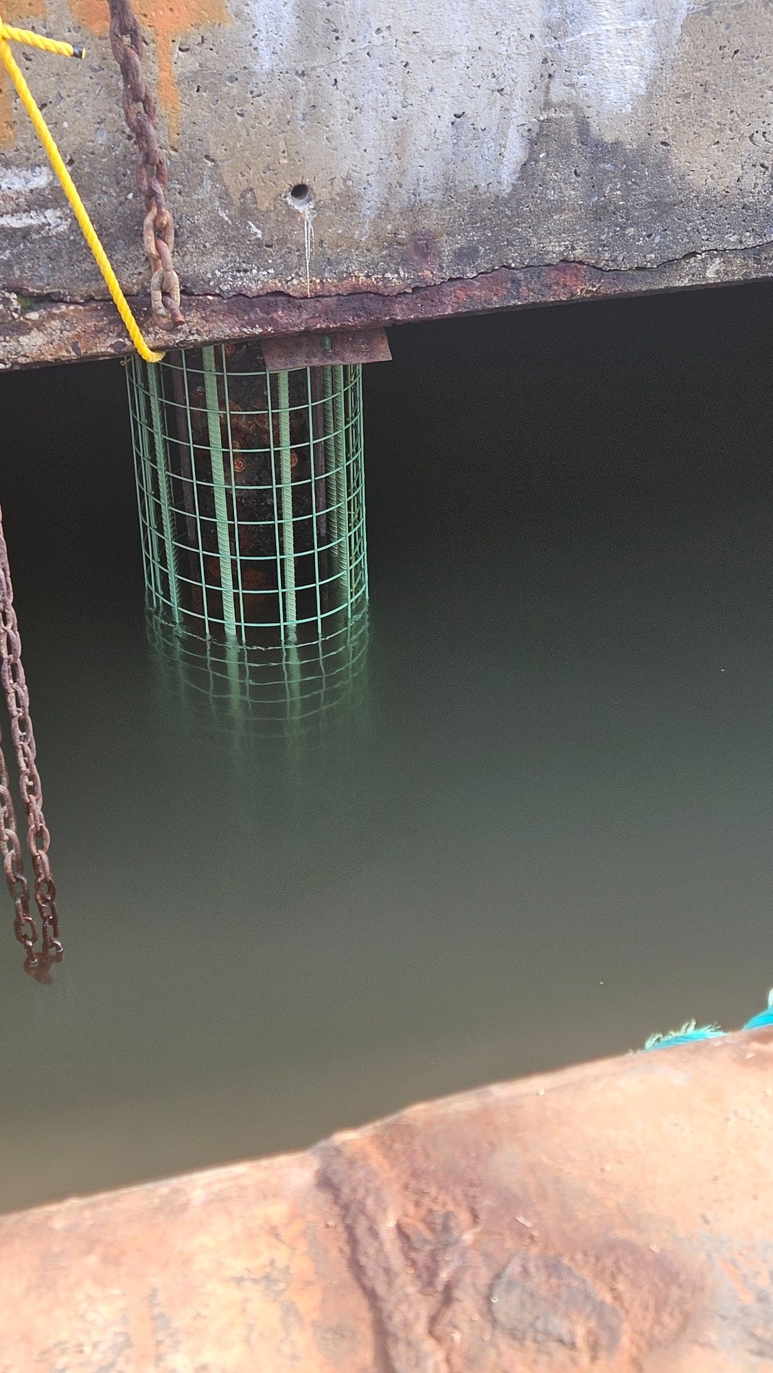 Pile reinforcing cage at Pier 36